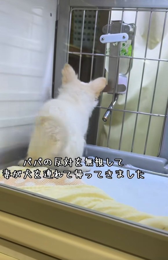 後ろ姿のソラくん