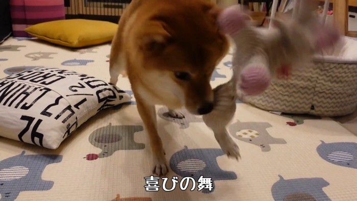ブンブン振り回して大喜び！