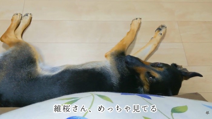 「ママももう寝るの？」