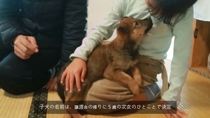 子どもに抱かれる犬