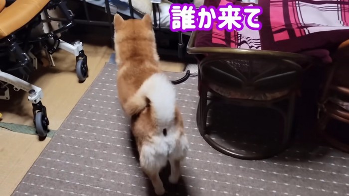 呼ばれる前にひいおばあちゃんの元へ