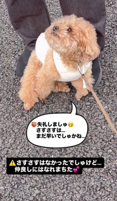 「可愛いねえ」