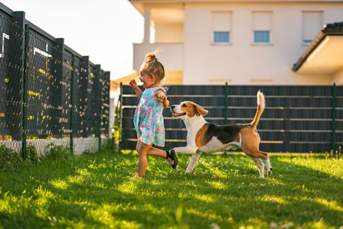 女の子を追いかける犬