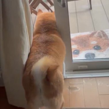 なんで