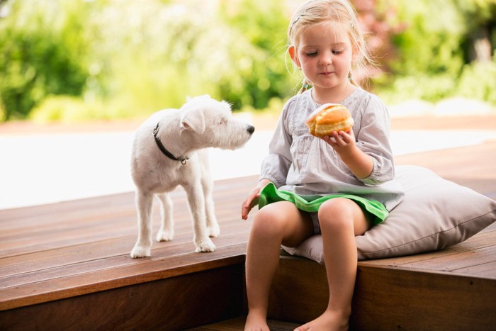 女の子と白い犬