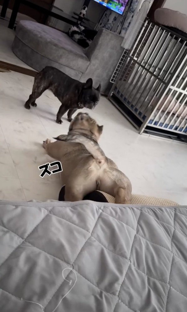 落下