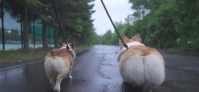 最高の眺め