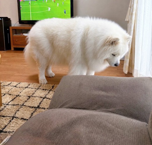 立ち尽くす