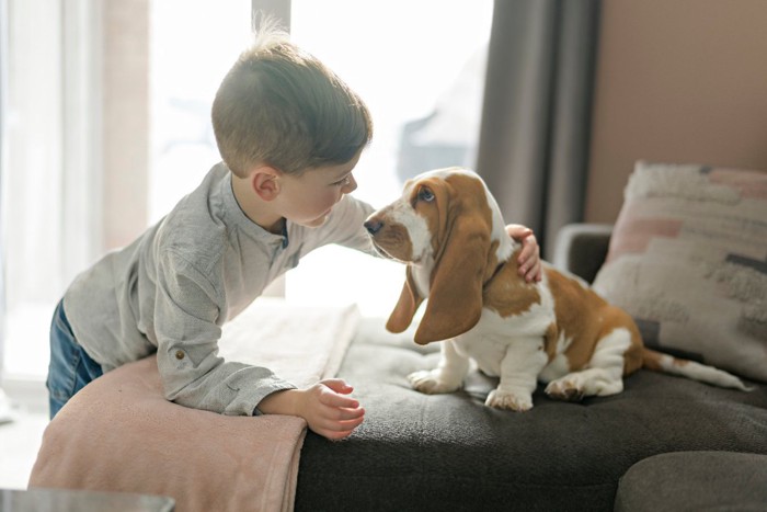 男の子と犬