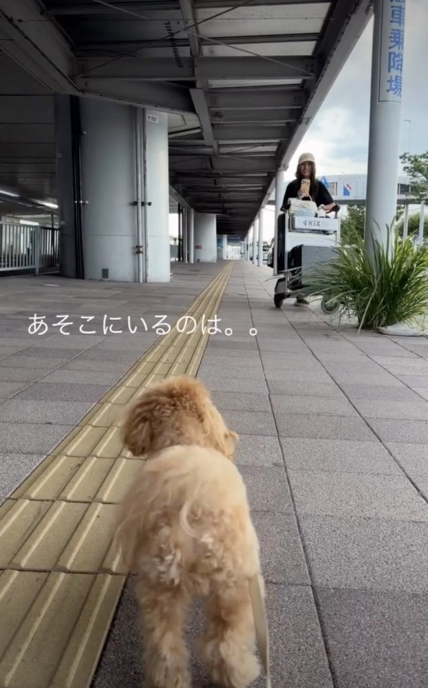 「おねーたんなの…?」