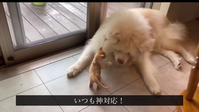 攻撃がやまないと…