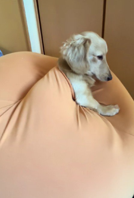 眠たくなってきた