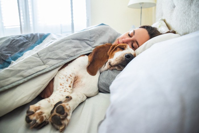女性とベッドで眠る犬