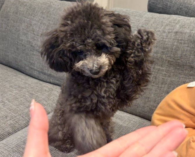 まさかの勘違い