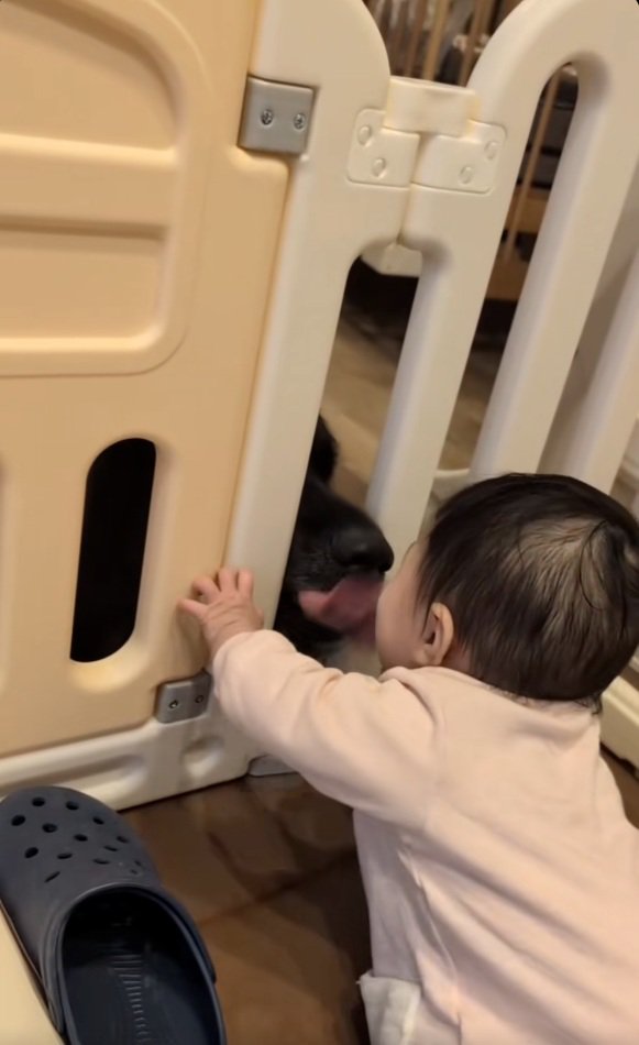 舐められる赤ちゃん