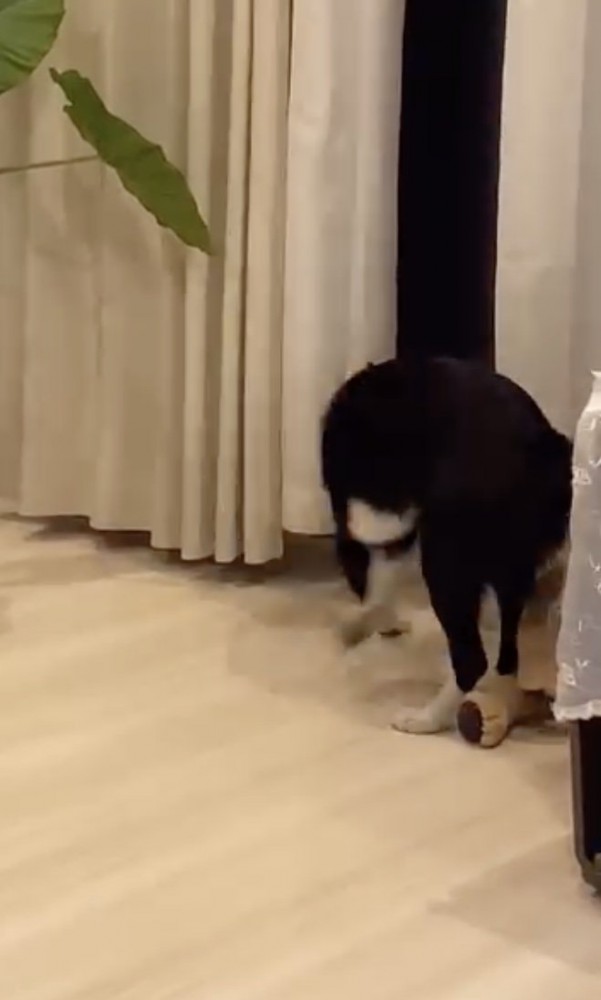 まだ待とう