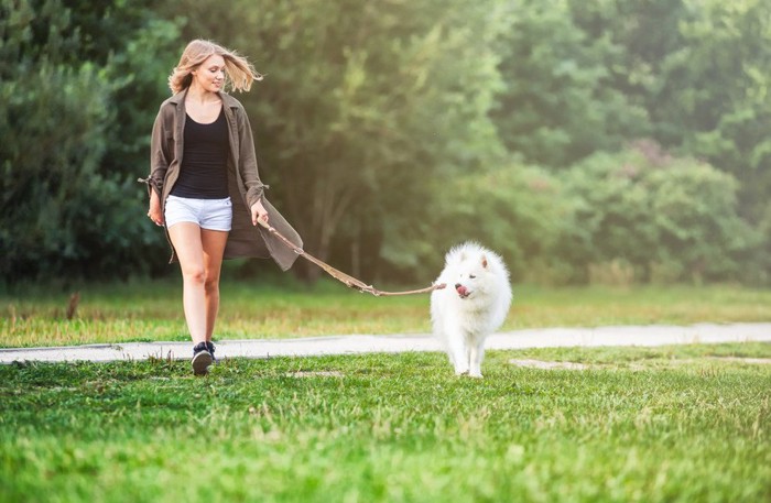 散歩する女性と犬