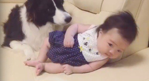 ゆっくりソファに倒れる赤ちゃん