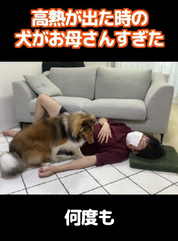 何度も何度も…