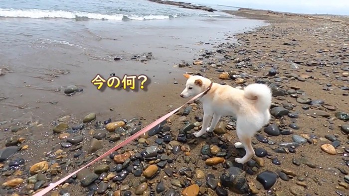 呆然…！