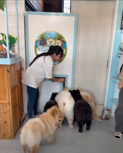 扉の前に集まる犬たち