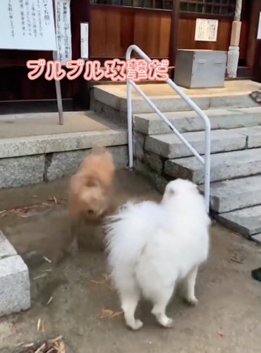 泥が飛び散ります!