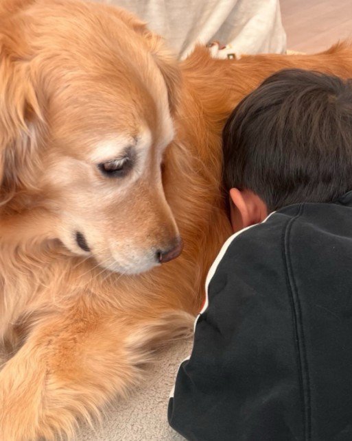 友達と喧嘩した…