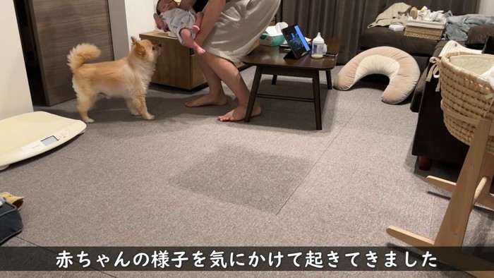 夜中も起きて様子を見にきます