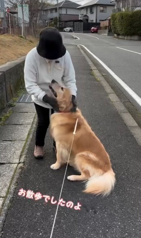 「私はお散歩中だったんだ～」