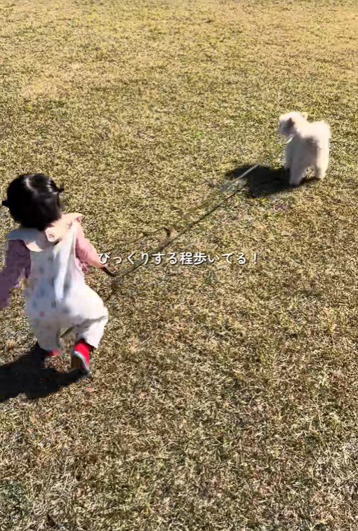 もち君と赤ちゃんのお散歩3