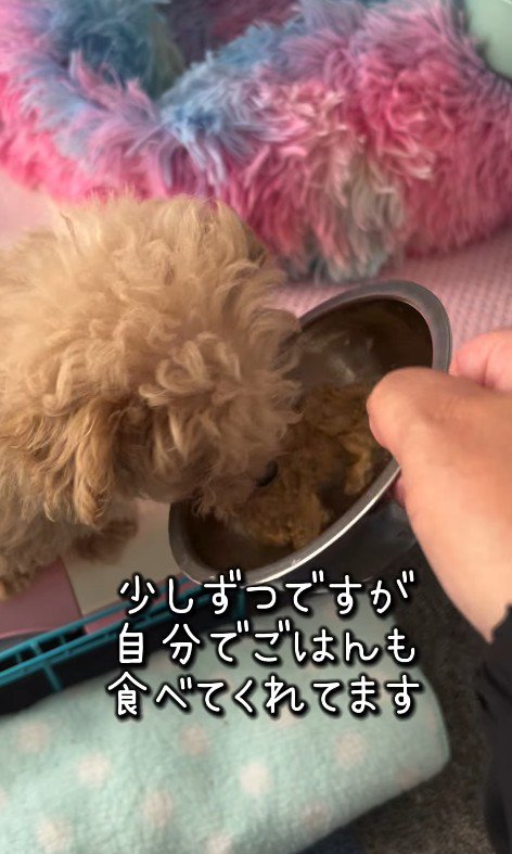 みらいちゃんが元気になるまで8