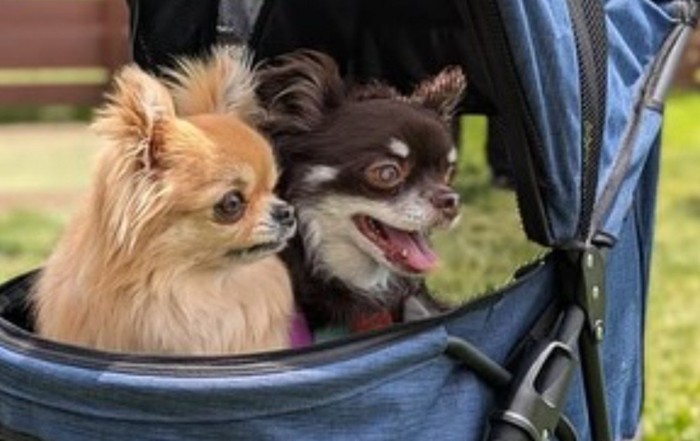 これからも幸せに！！