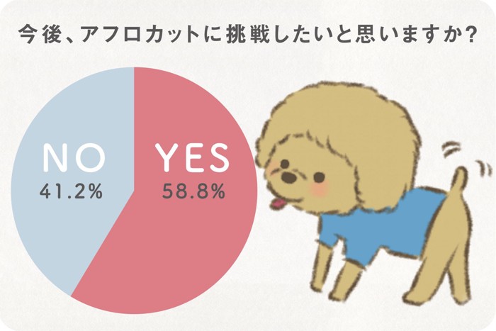 アンケート結果「今後アフロカットに挑戦してみたいと思いますか？」