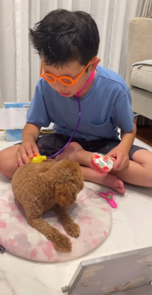 聴診器を当てる男の子と犬