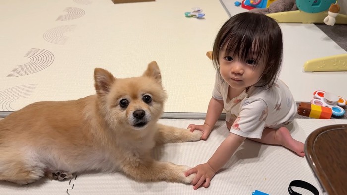 お手々を繋いでいるふたり