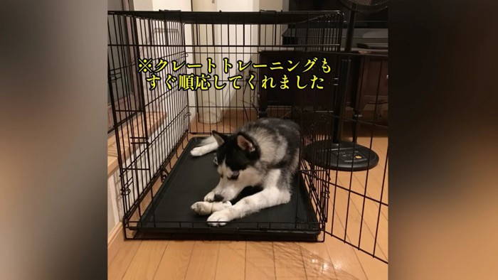 色々なトレーニングを頑張った