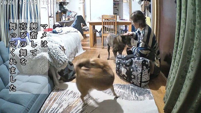 とっても嬉しそう♪