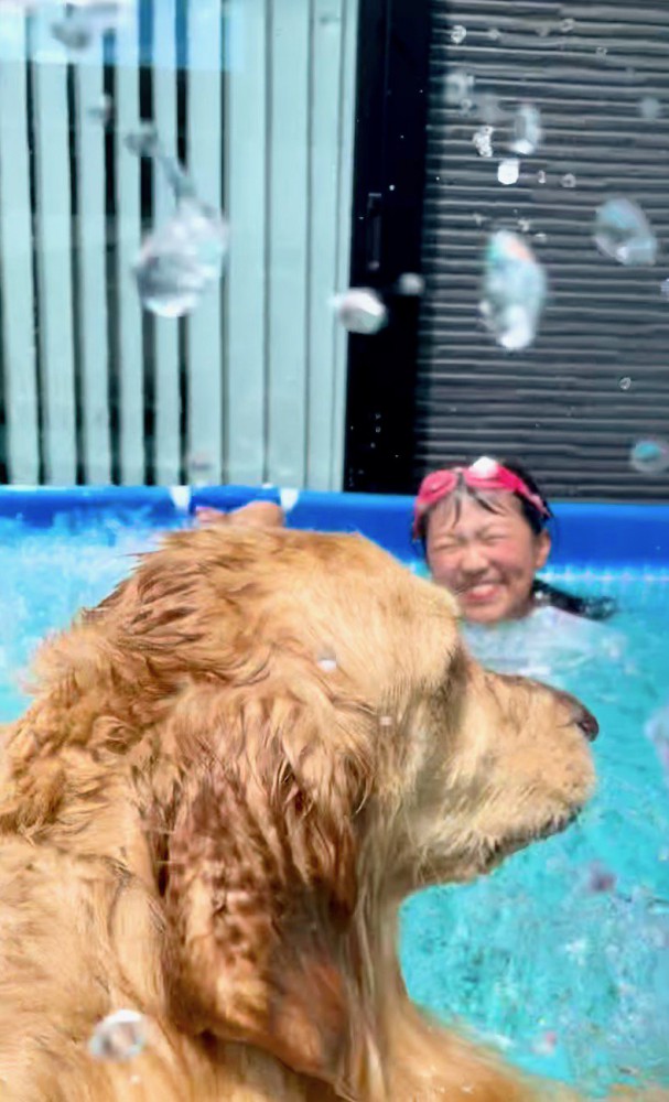 水飛沫と犬