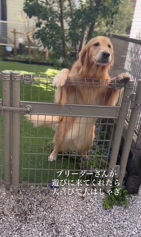 そら君とブリーダーさんの再会2