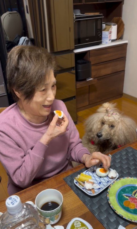 おばあちゃんの朝ご飯を狙うワンコたち4