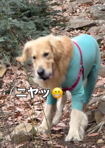 口角を上げてニヤリ