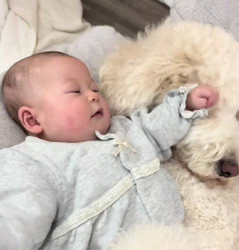 甲斐甲斐しくお世話する