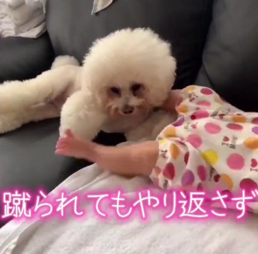 蹴られても…