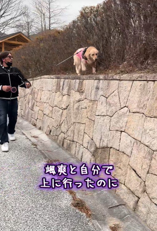 そのまま高いところをトコトコ♪