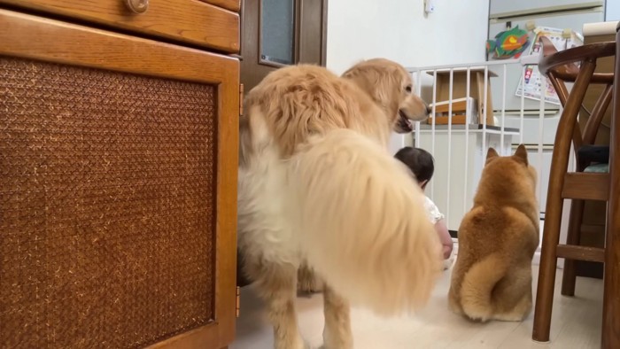 仲良し3兄妹♡