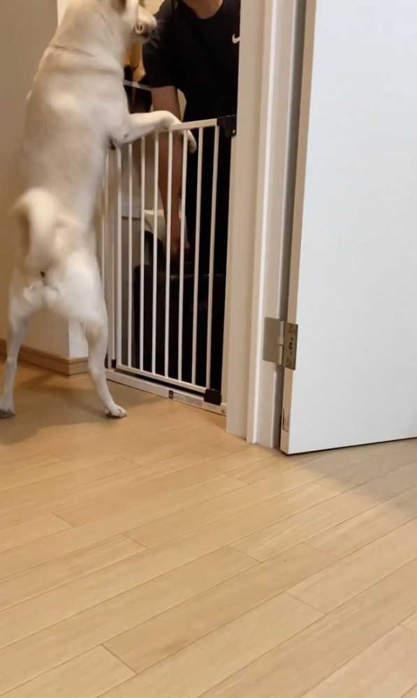 「会いたかった！！」