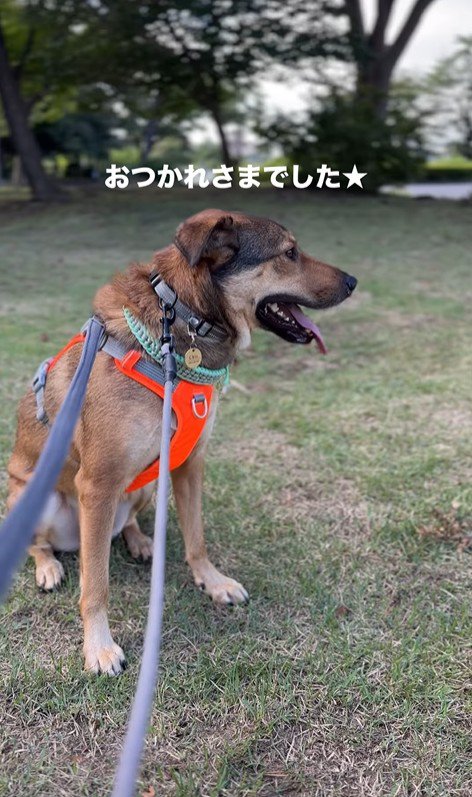 現在のちぃ君5