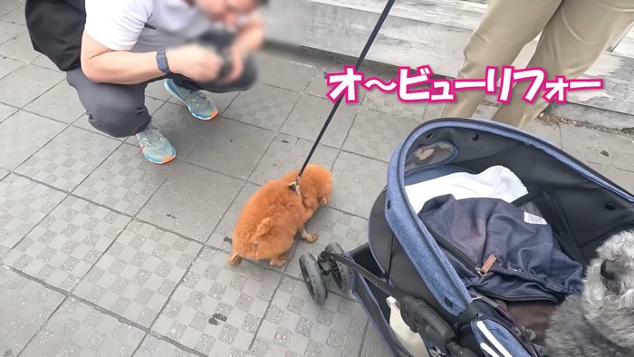 「ビューティフォー！」
