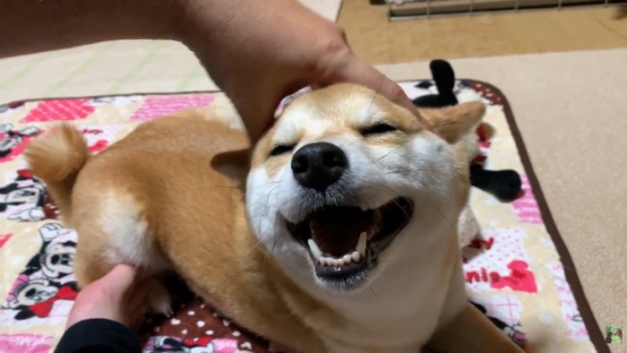 とっても幸せそう♡