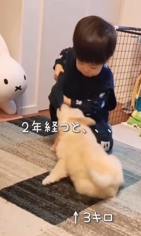 エルくんと男の子4